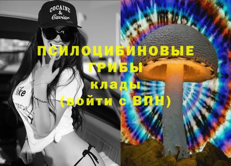 Галлюциногенные грибы мицелий  Кириллов 